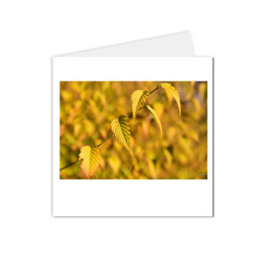 cartes postales feuilles d'automne jaune or