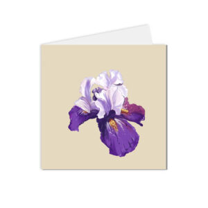 carte postale iris illustration