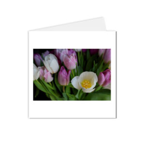 carte postale bouquet de tulipes