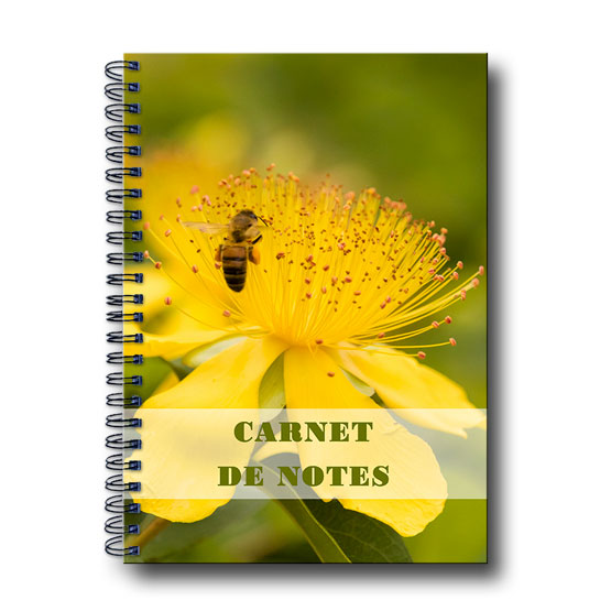 carnet de notes a5 Abeille butinant une grosse fleur jaune - photographie DTF