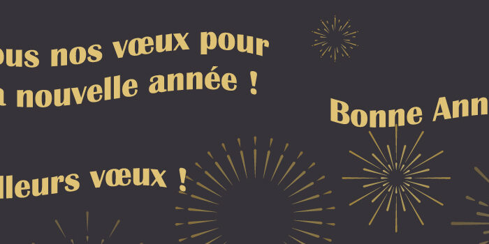 banniere article message carte voeux professionnel fin d annee - remerciements pour clients, collaborateurs, fournisseurs, partenaires, merci, bonne année, meilleurs vœux, voeux, présenter ses vœux de réussite